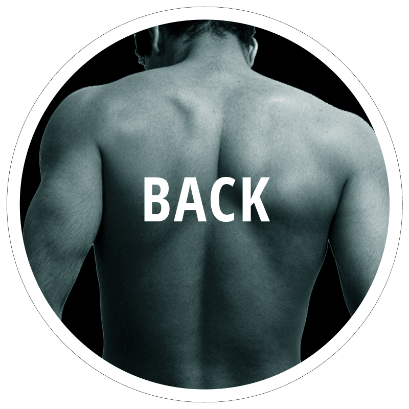 Back