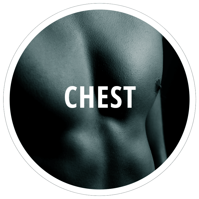 chest